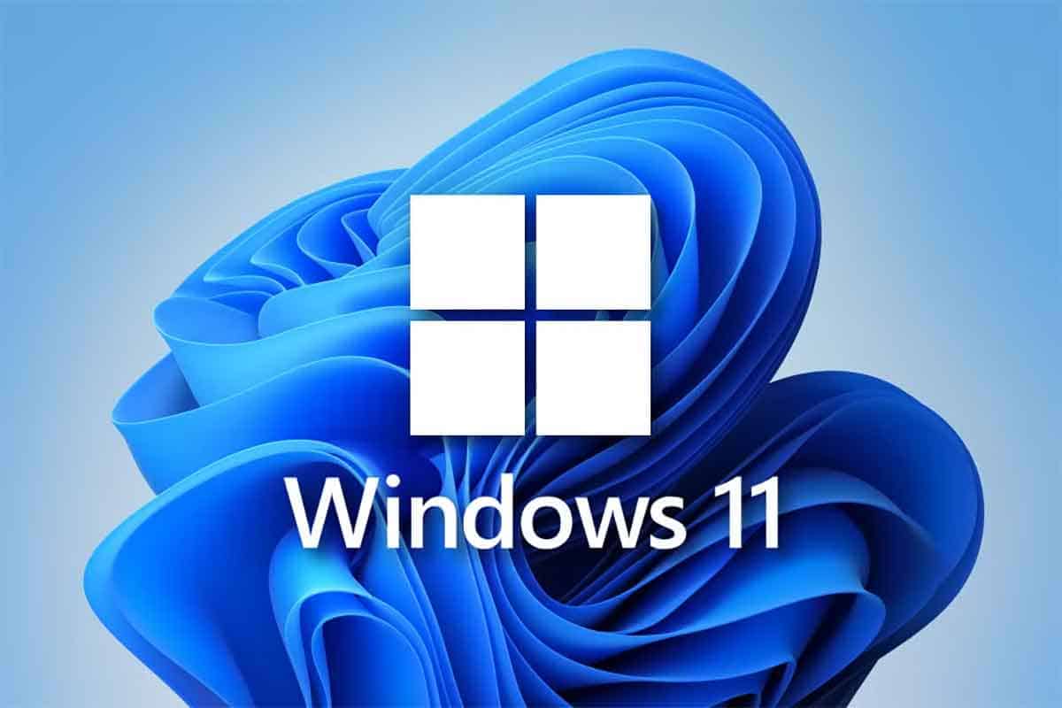 202503050018593002.jpg