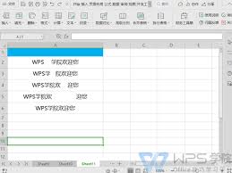 WPS如何删除空白表格？两种方法快速清理