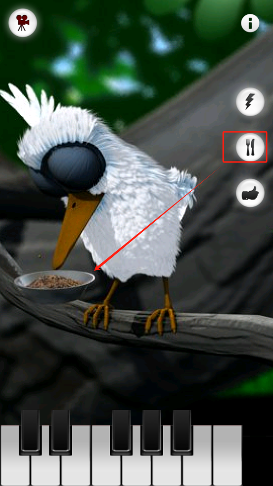 鸟拉是什么意思__胖鸟大冒险森林1-5金币