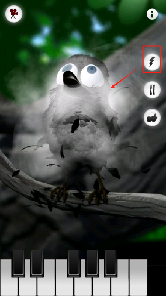 鸟拉是什么意思_胖鸟大冒险森林1-5金币_