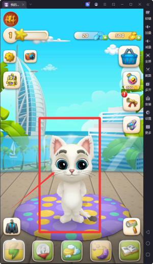 奥斯卡是个大猫咪合集_ss奥斯卡和ss猫哪个先出_