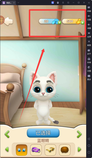 _ss奥斯卡和ss猫哪个先出_奥斯卡是个大猫咪合集