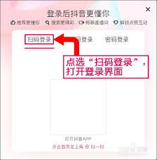 抖音登录网页版入口_抖音登录网页版在哪里验证_